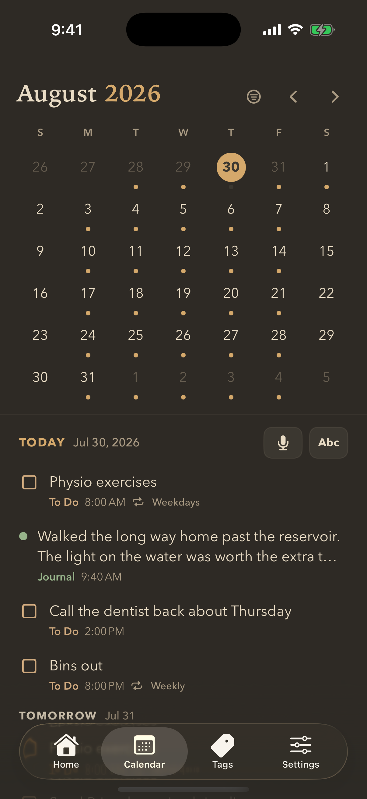 A calendar showing today's entries — physio, a journal note, the dentist call, bins out — with tomorrow listed underneath