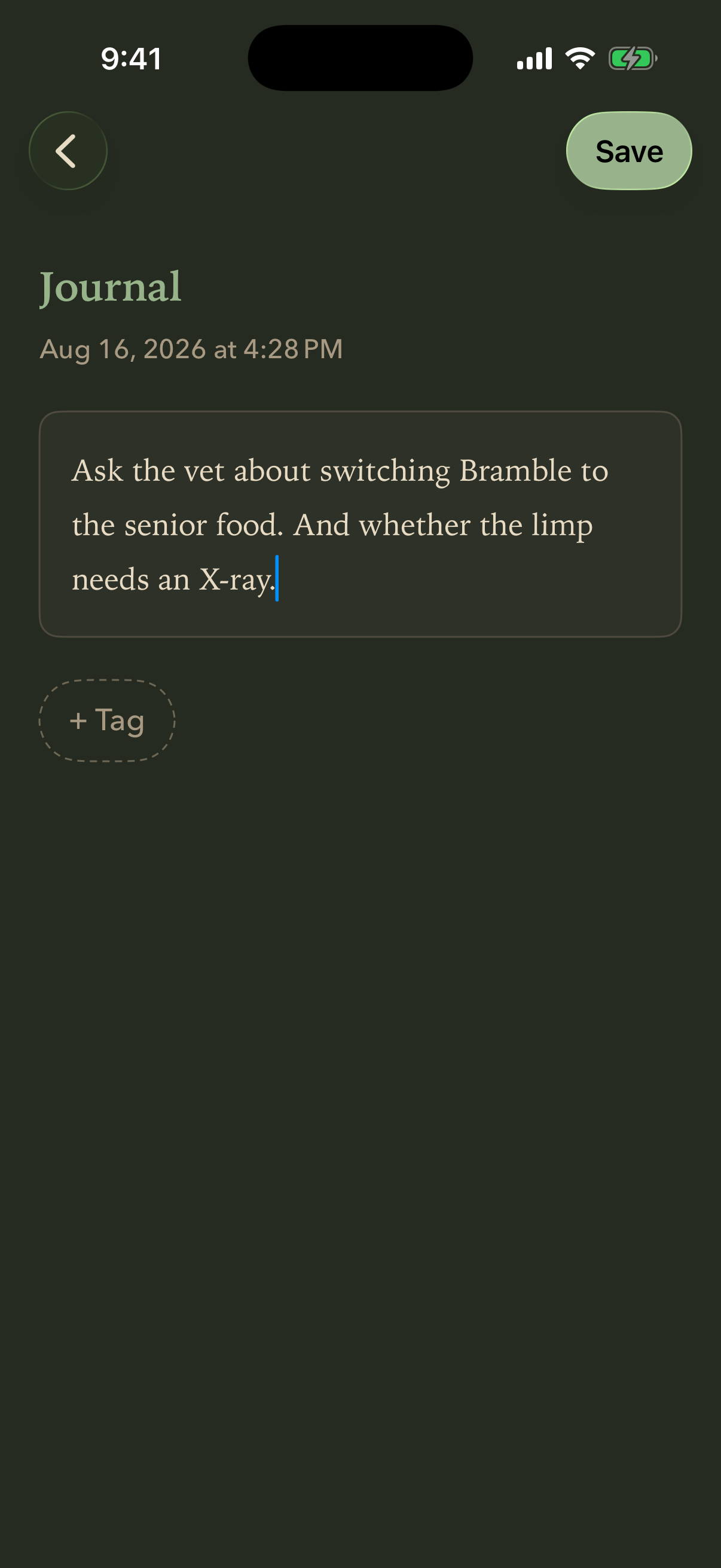 A new jot being typed into a text field, with a Save button and a tag control